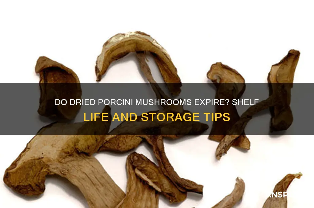 do dried porcini mushrooms go bad