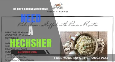 Do Dried Porcini Mushrooms Require Kosher Certification? A Guide