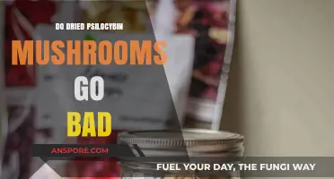 Do Dried Psilocybin Mushrooms Expire? Shelf Life and Storage Tips