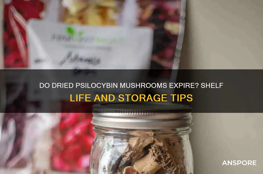 do dried psilocybin mushrooms go bad