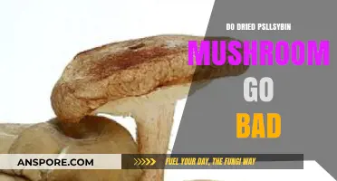 Do Dried Psilocybin Mushrooms Expire? Shelf Life Explained