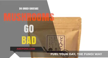 Do Dried Shiitake Mushrooms Expire? Shelf Life and Storage Tips