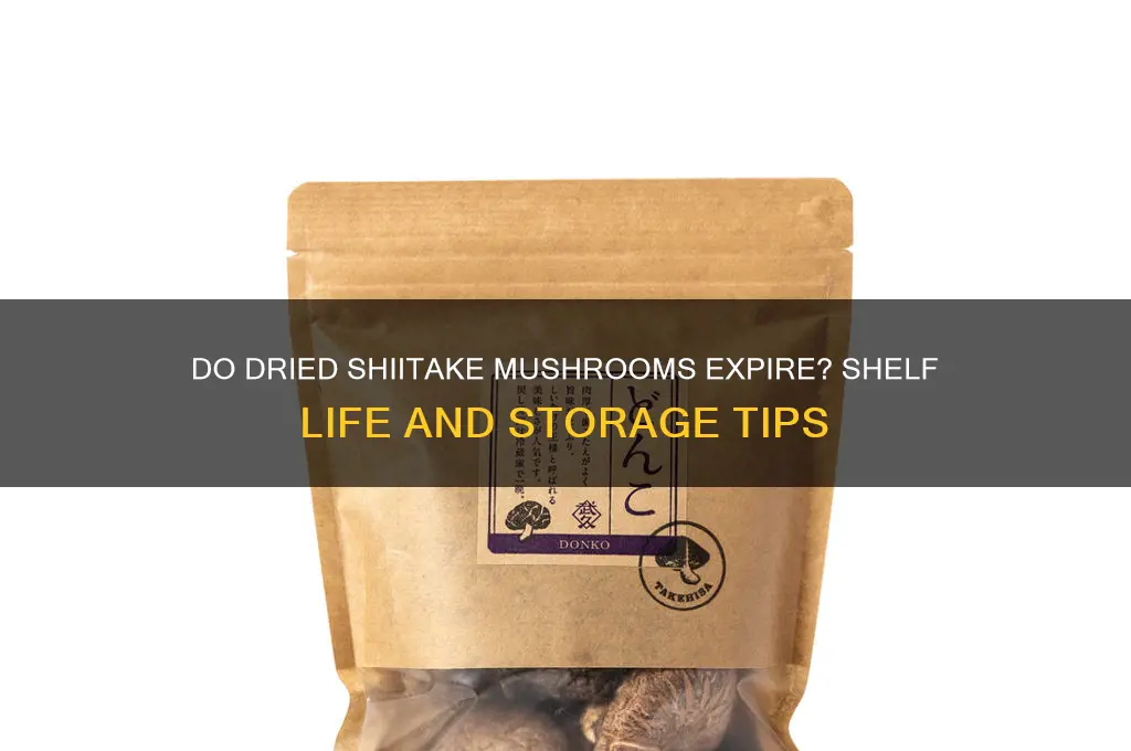 do dried shiitake mushrooms go bad