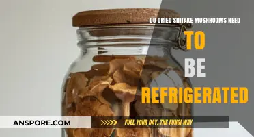 Should Dried Shiitake Mushrooms Be Refrigerated? Storage Tips Revealed
