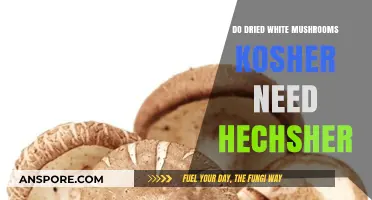Are Dried White Mushrooms Kosher Without a Hechsher?