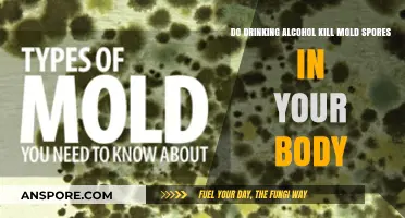 Can Alcohol Consumption Eliminate Mold Spores in Your Body? Facts Revealed