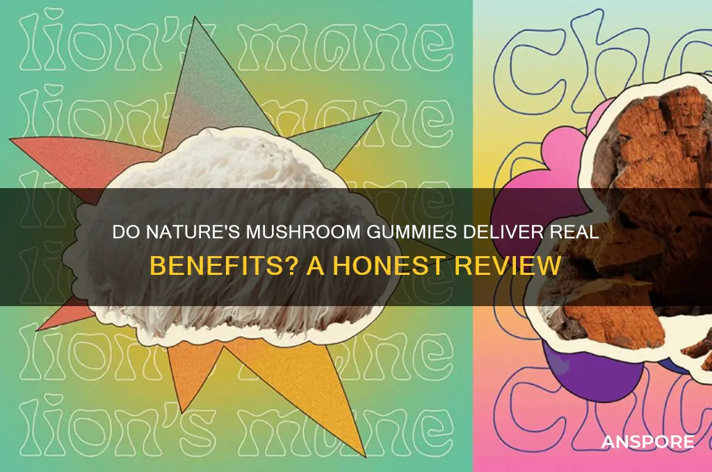 do drops of nature mushroom gummies work