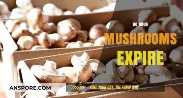 Mushroom Magic: Do They Expire?