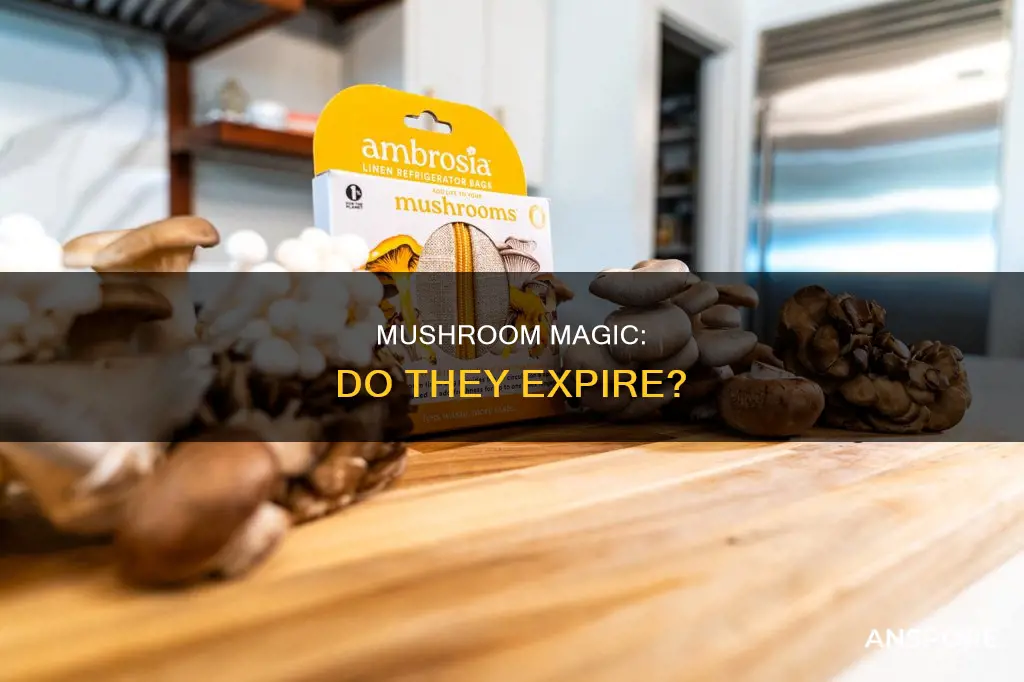 do drug mushrooms expire