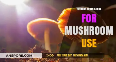 Do Drug Tests Detect Psilocybin Mushrooms? What You Need to Know