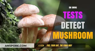 Mushroom Detection in Drug Tests: What You Need to Know