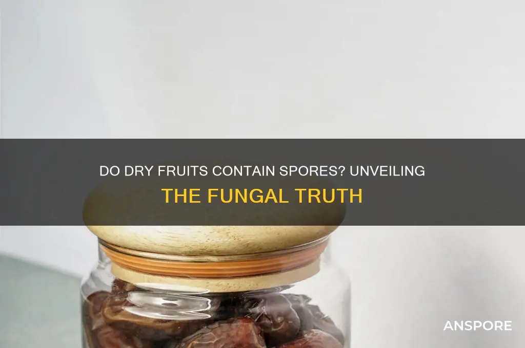 do dry frons have spores