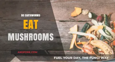 Do Earthworms Eat Mushrooms? Exploring Their Diet and Decomposition Role