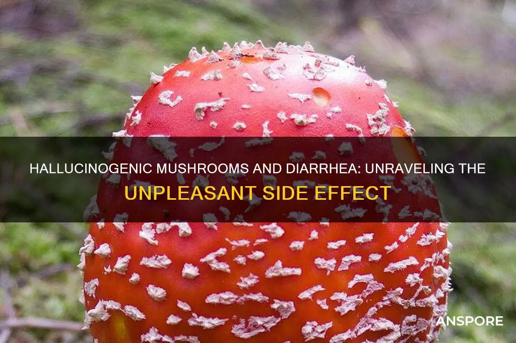 do eating hallucinations mushrooms give you diarrhea