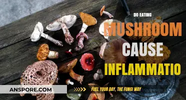 Mushrooms and Inflammation: Unveiling the Truth About Their Impact on Health