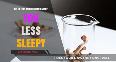 Mushrooms and Alertness: Can Fungi Fight Fatigue and Boost Energy?