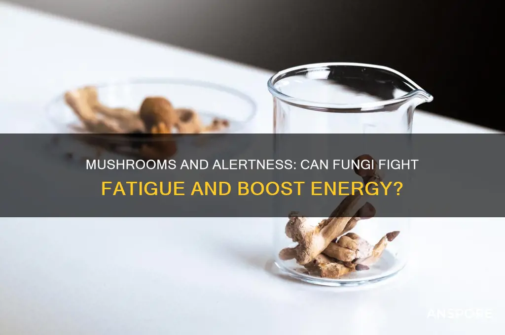 do eating mushrooms make you less sleepy