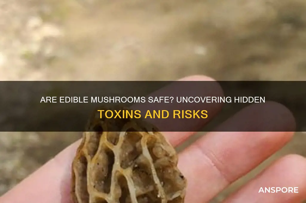 do edible mushrooms have toxins