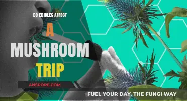 Edibles and Mushrooms: How Cannabis Influences Psychedelic Experiences