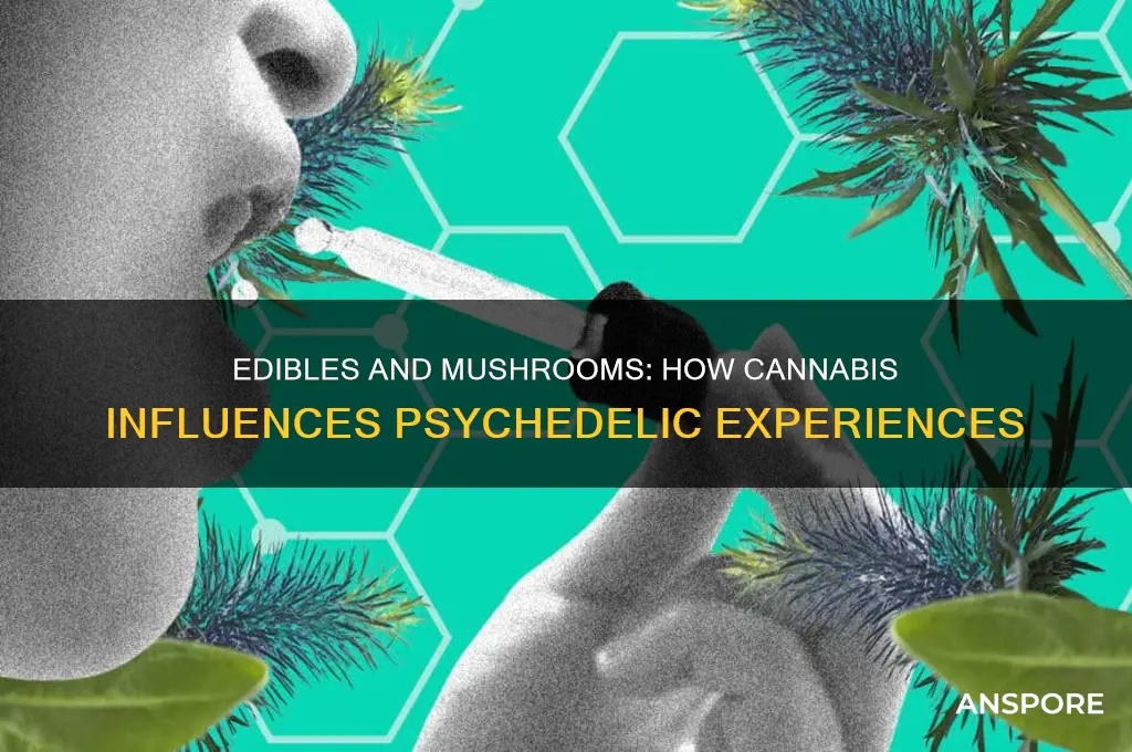 do edibles affect a mushroom trip