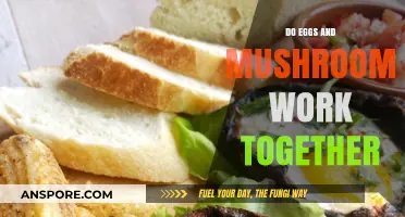Eggs and Mushrooms: A Perfect Culinary Match or Miss?