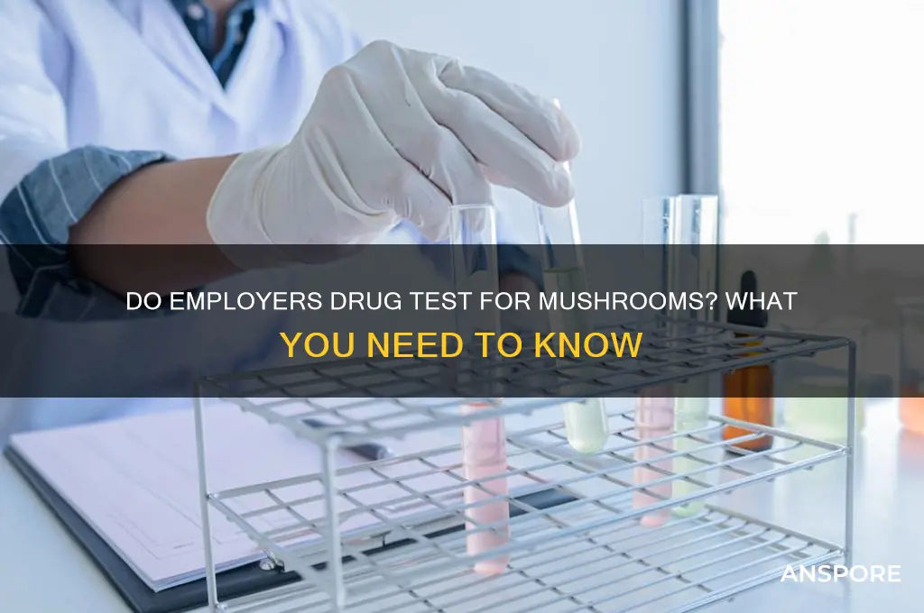 do employers drug test for mushrooms