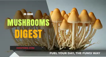 Enoki Mushrooms: Digestion and Nutrition