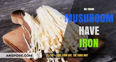 Enoki Mushrooms: Are They a Good Source of Iron?
