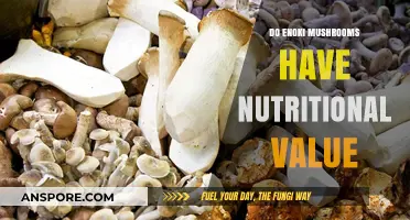 Enoki Mushrooms: Unveiling Their Surprising Nutritional Benefits and Value