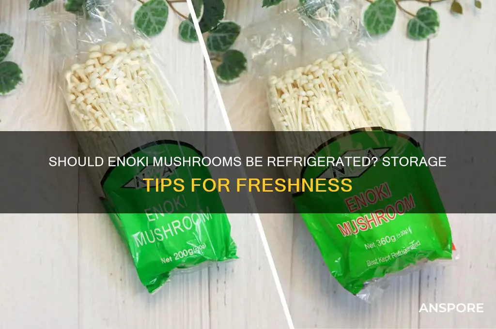 do enoki mushrooms need to be refrigerated
