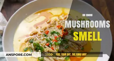 Enoki Mushrooms: Do They Smell?