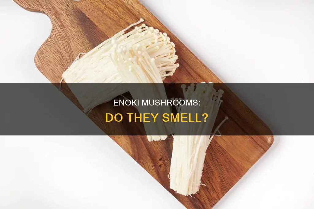 do enoki mushrooms smell