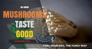 Exploring Enoki Mushrooms: Flavor, Texture, and Culinary Appeal