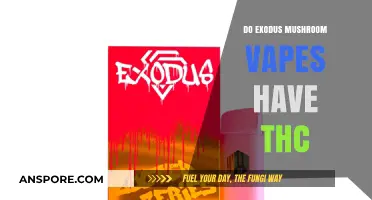 Do Exodus Mushroom Vapes Contain THC? Facts and Insights