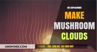 Explosions and Mushroom Clouds: Unraveling the Science Behind the Phenomenon