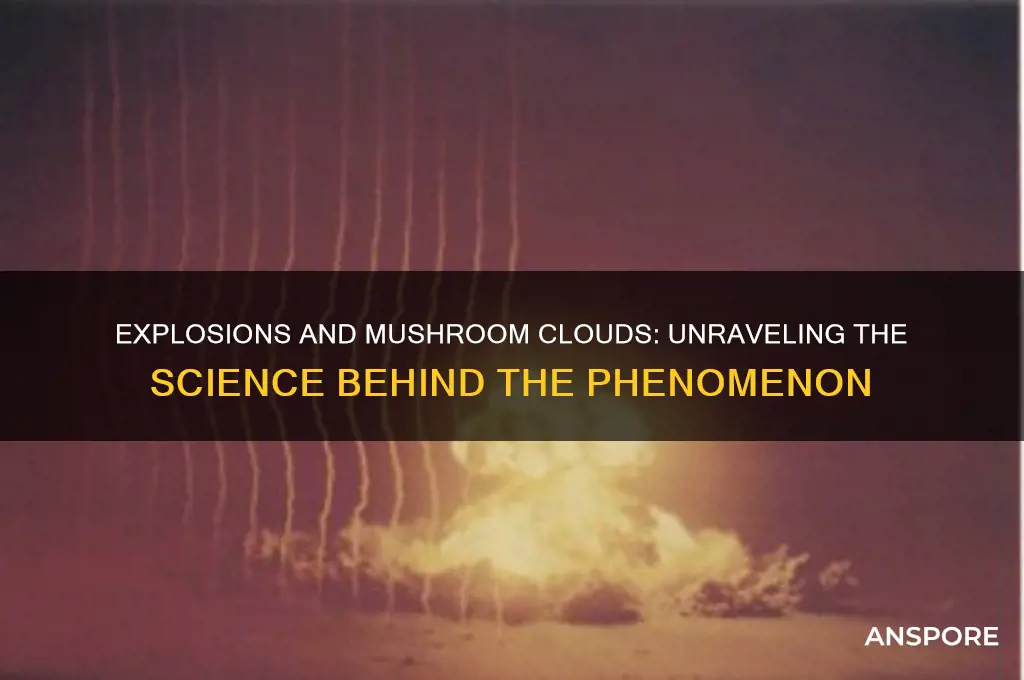 do explosions make mushroom clouds