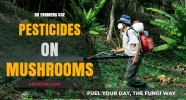 Do Farmers Use Pesticides on Mushrooms? The Surprising Truth
