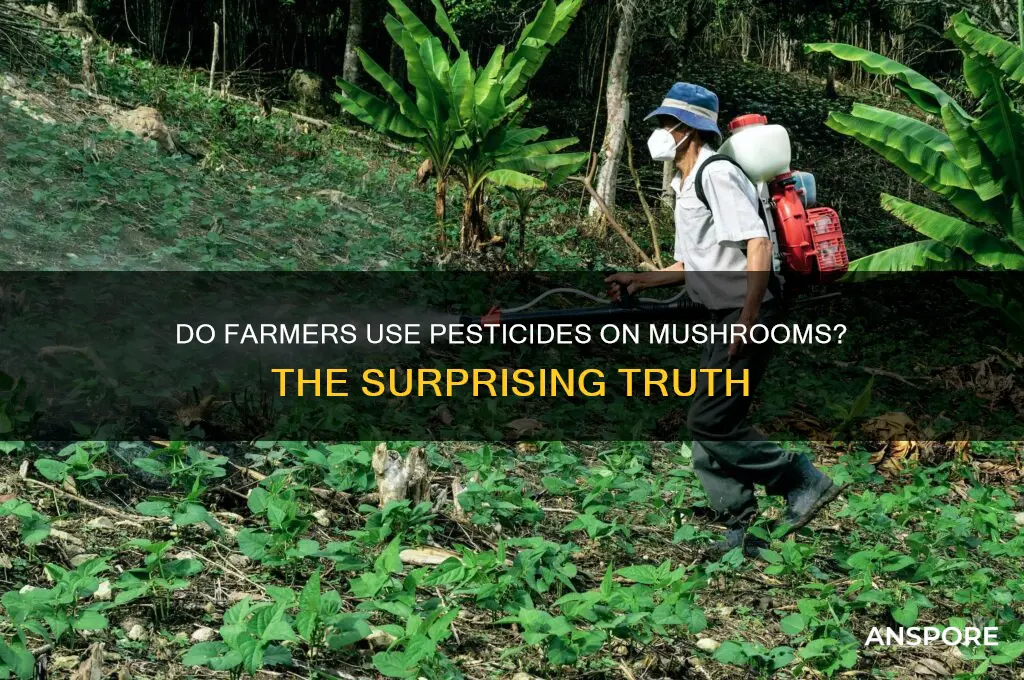 do farmers use pesticides on mushrooms