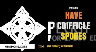 Do Farts Carry C. Difficile Spores? Unraveling the Gut Mystery