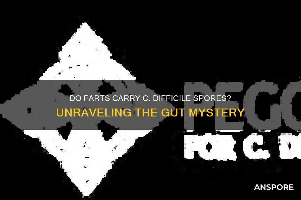 do farts have cdifficle spores