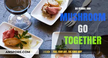 Fennel and Mushrooms: A Flavorful Pairing Worth Exploring
