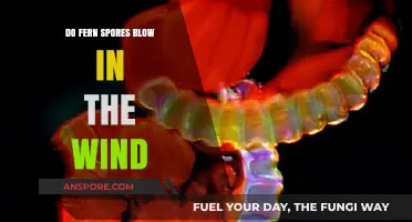 Do Fern Spores Blow in the Wind? Unveiling Nature's Tiny Travelers