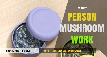 Magic Mushrooms: A First-Person Account of Their Effects