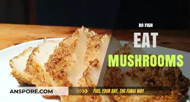 Do Fish Eat Mushrooms? Exploring Aquatic Diets and Fungal Consumption