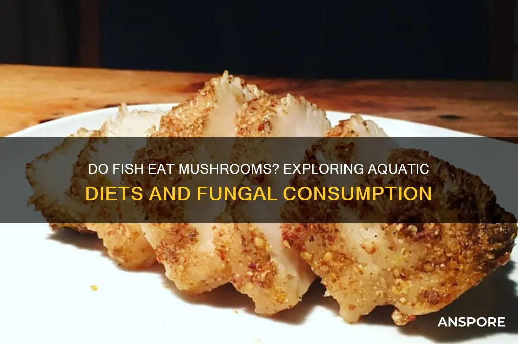 do fish eat mushrooms