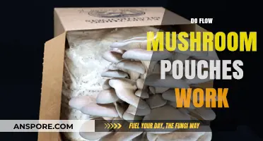 Flow Mushroom Pouch: Does It Work?