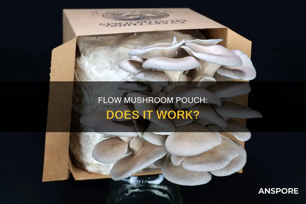 do flow mushroom pouches work