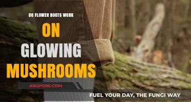 Do Flower Boots Work on Glowing Mushrooms? A Myth-Busting Guide