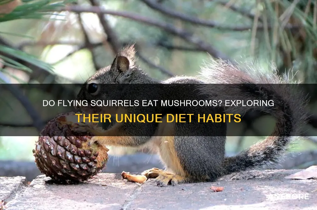 do flying squirrels eat mushrooms