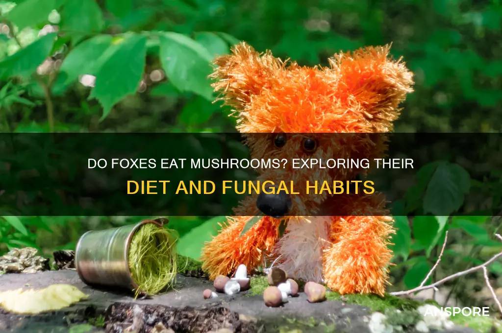 do fox eat mushrooms